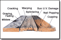 wood damage